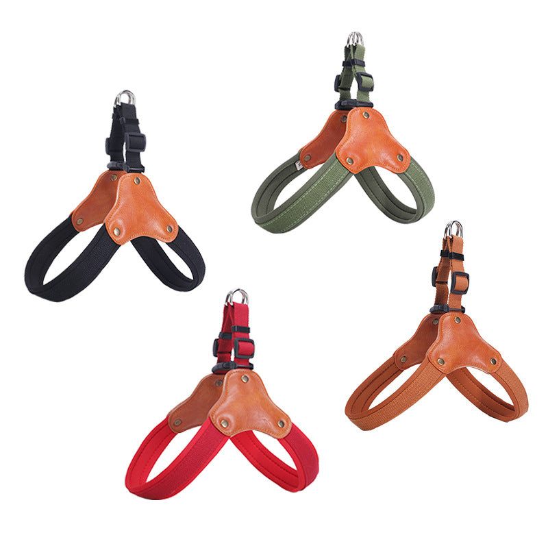 Portable household use Dog Leash