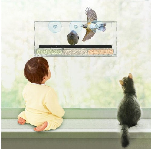 Acrylic birds feeder