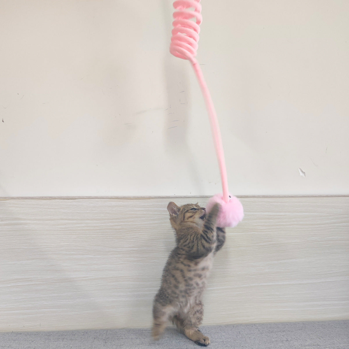 Cat Toy Self-Hi Sucker