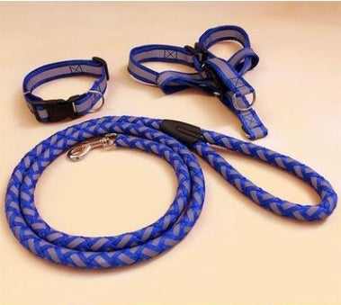 Glow-in-the-Dark Dog Leash