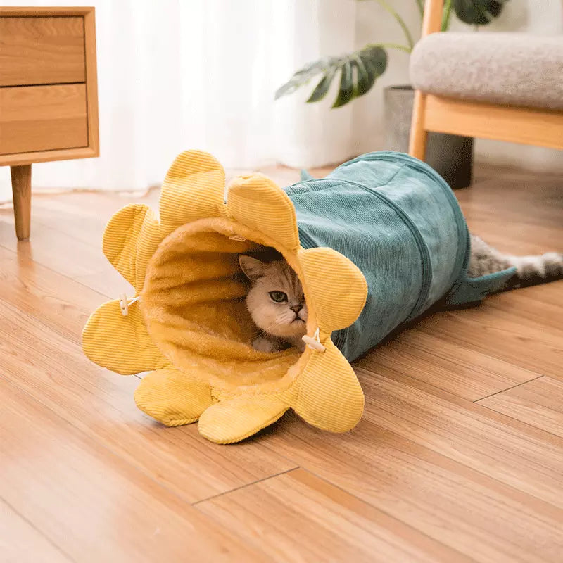 Fruit Funny Pet Cat Tunnel