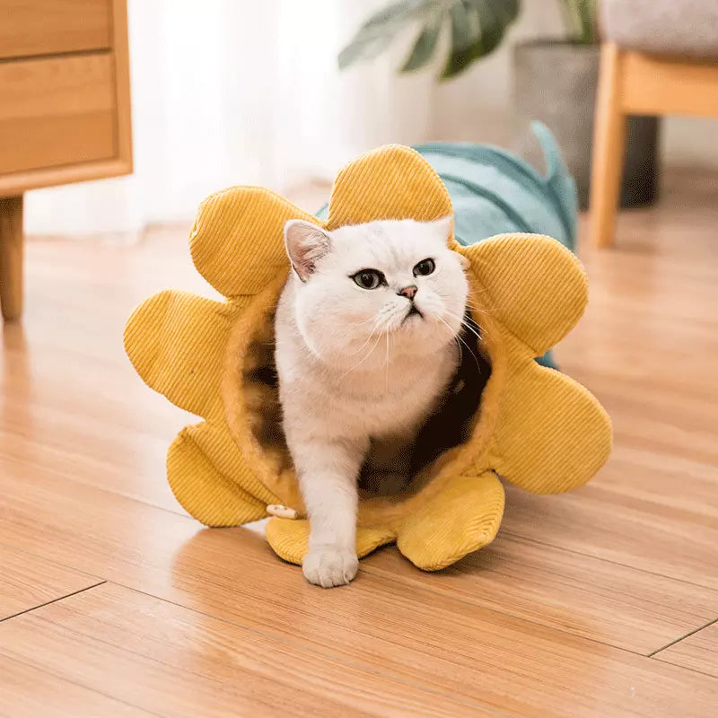 Fruit Funny Pet Cat Tunnel