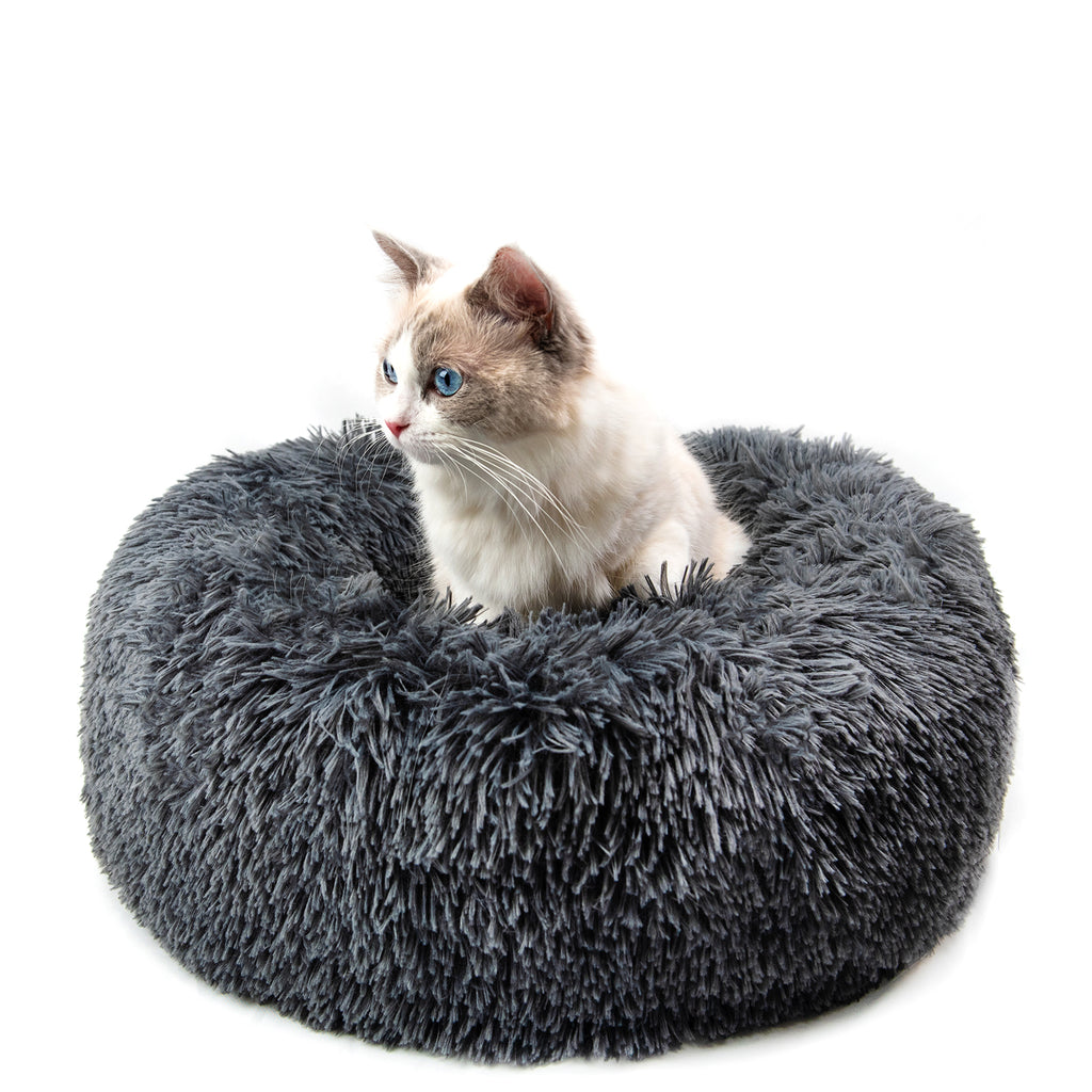 Cats and dogs Beds