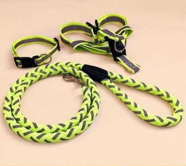 Glow-in-the-Dark Dog Leash