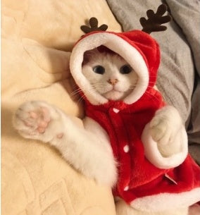 Christmas Dog and cats Clothes