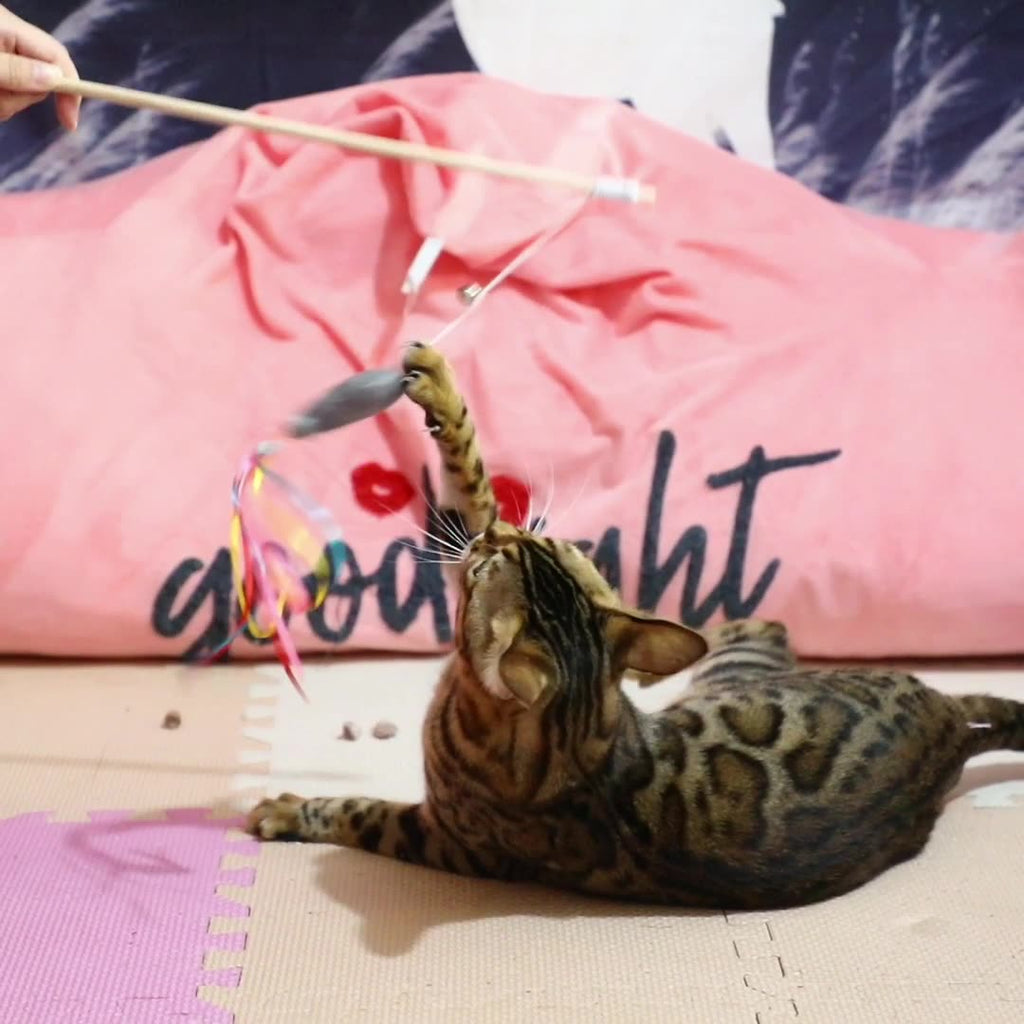 Cat Wand Toys Interactive