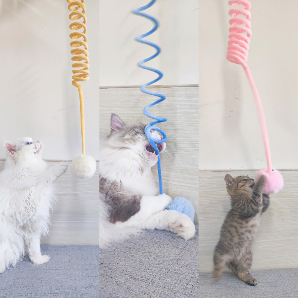 Cat Toy Self-Hi Sucker