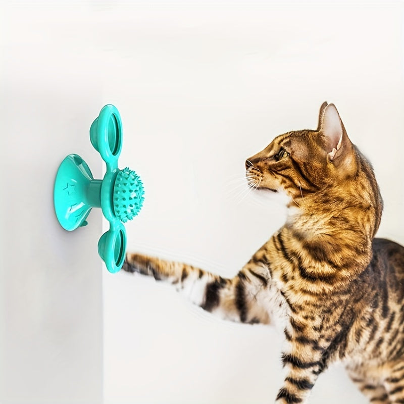 Windmill Cat Interactive