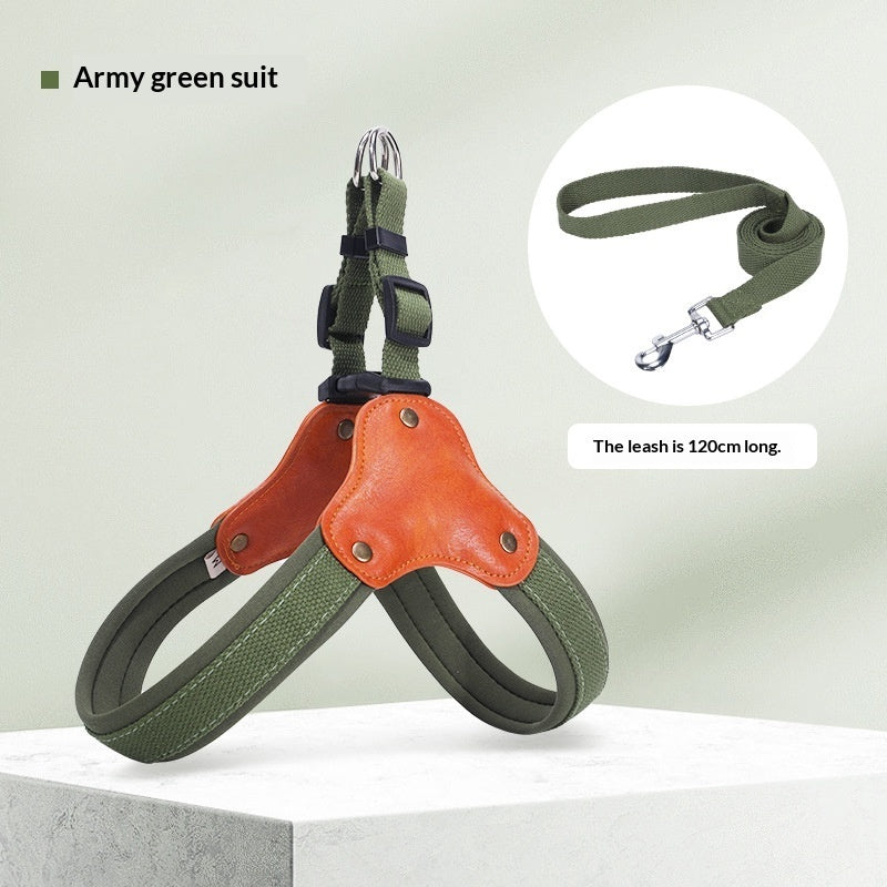 Portable household use Dog Leash