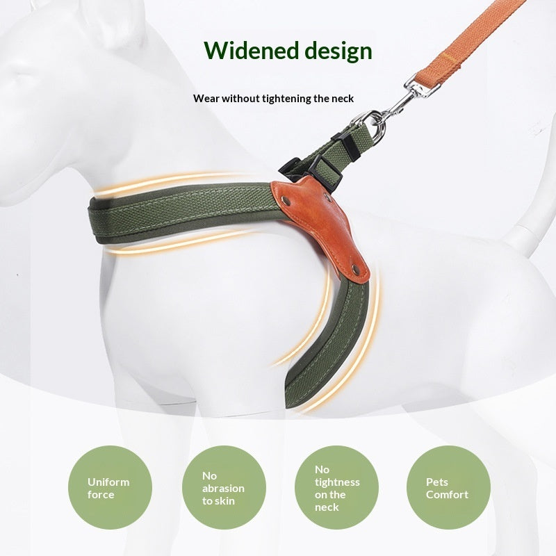 Portable household use Dog Leash