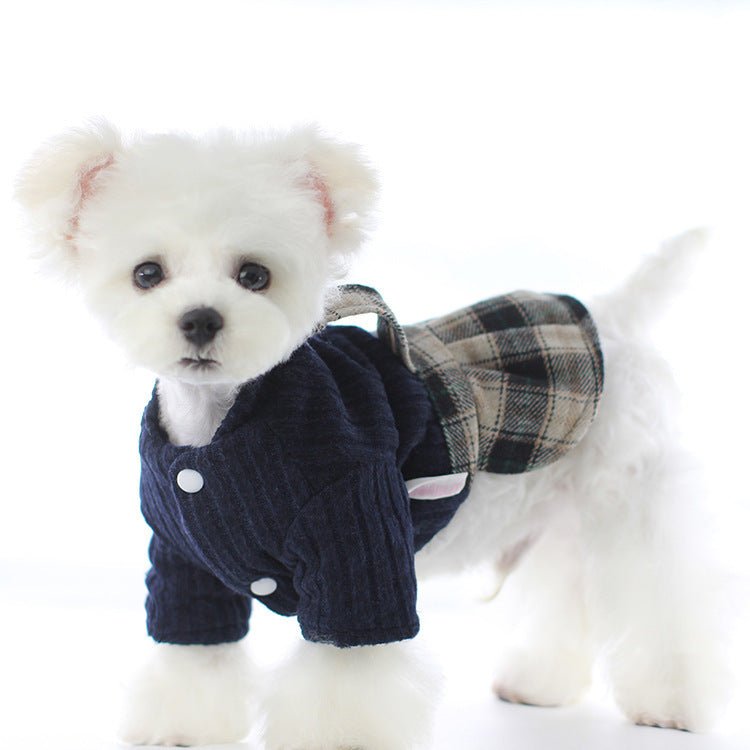Deep plaid sweater couple pet
