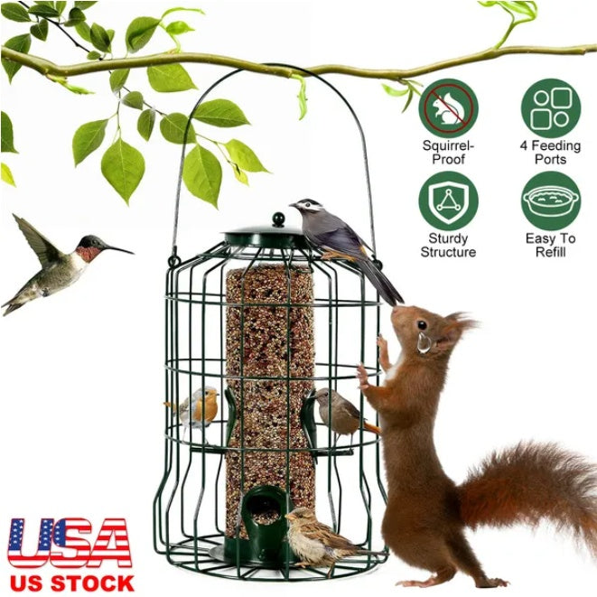 Outdoor Wild Bird Feeder Squirrel