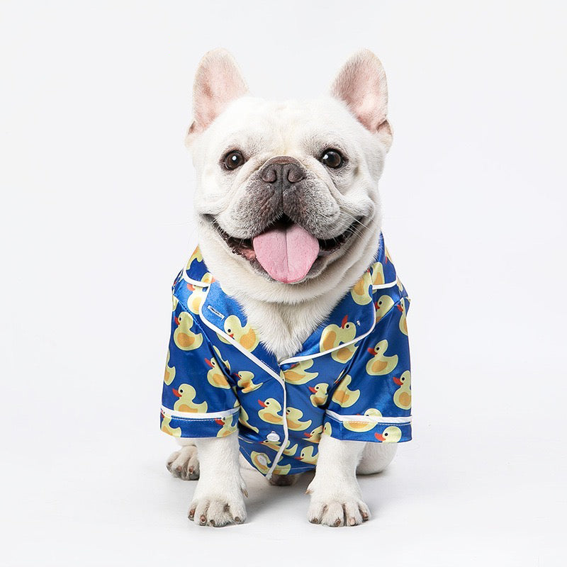 Cat and dog pyjamas