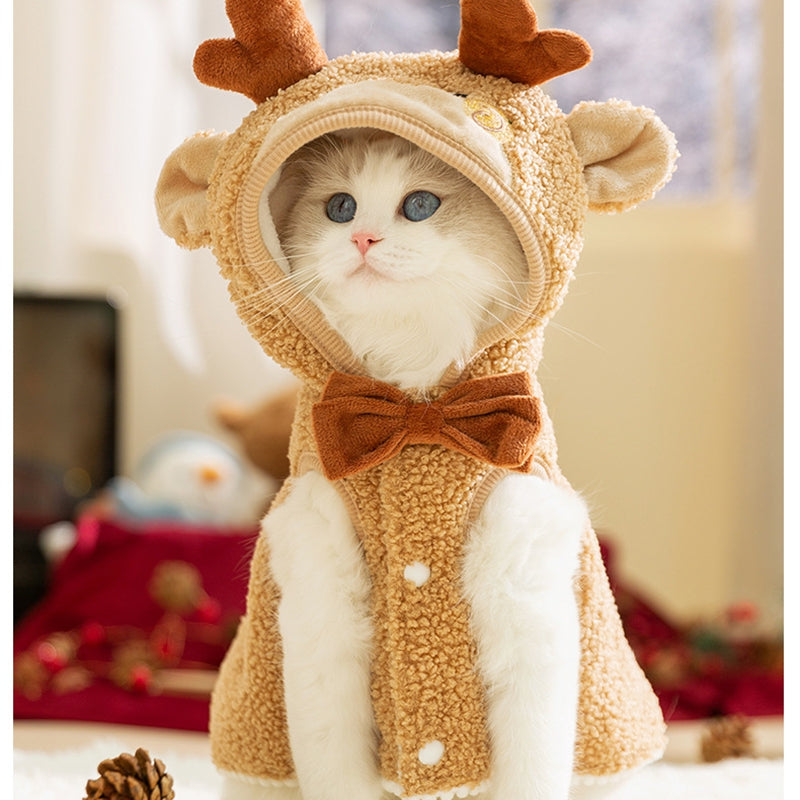 Cat Christmas Dress