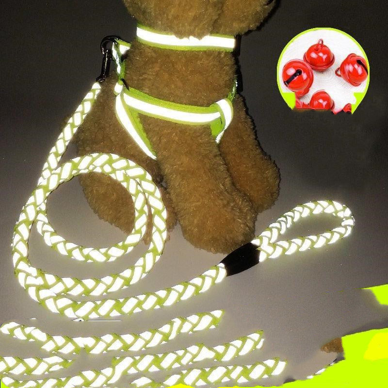 Glow-in-the-Dark Dog Leash