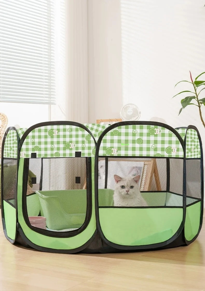 Cat and little pets House