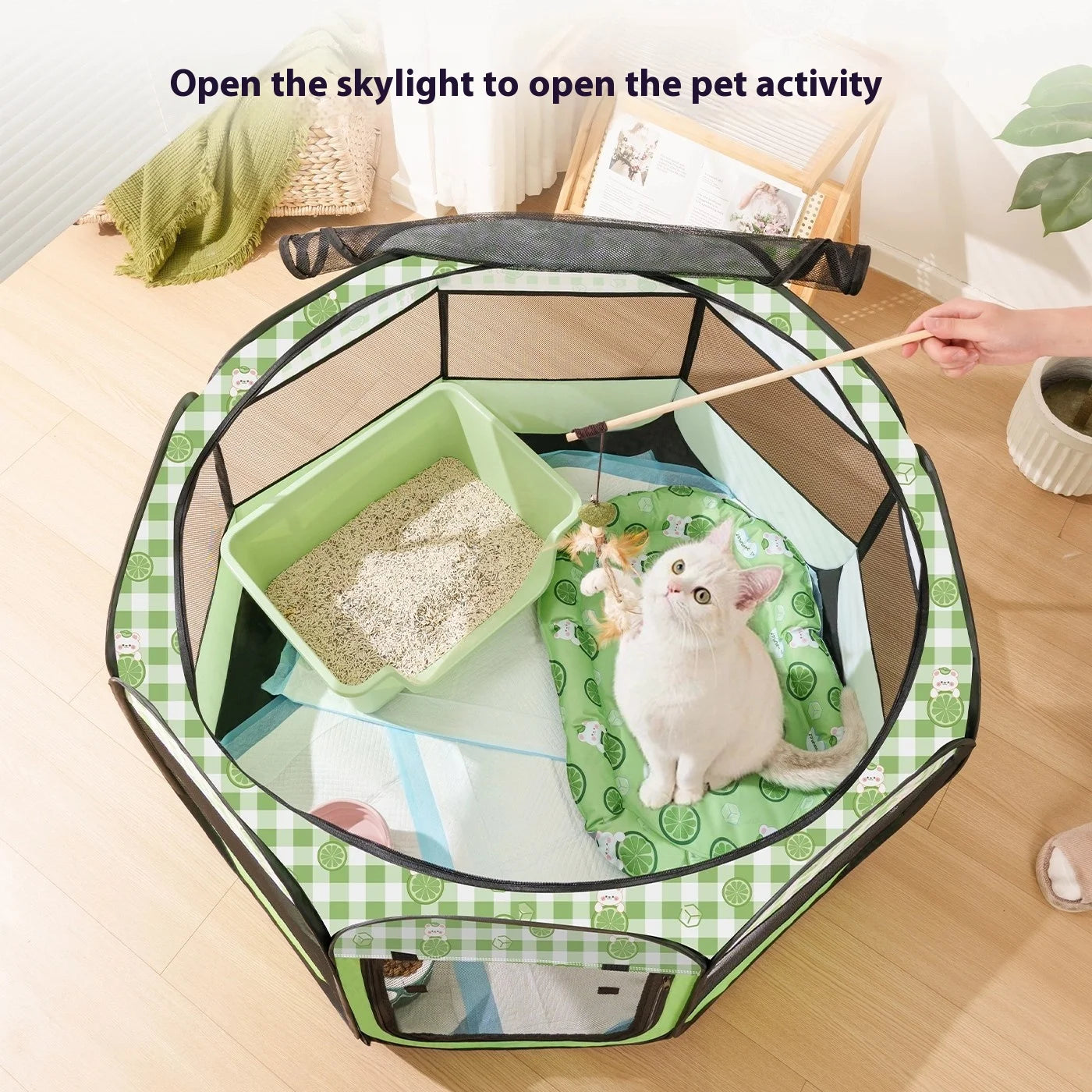 Cat and little pets House