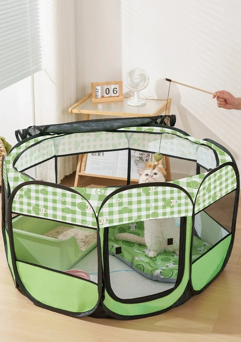 Cat and little pets House