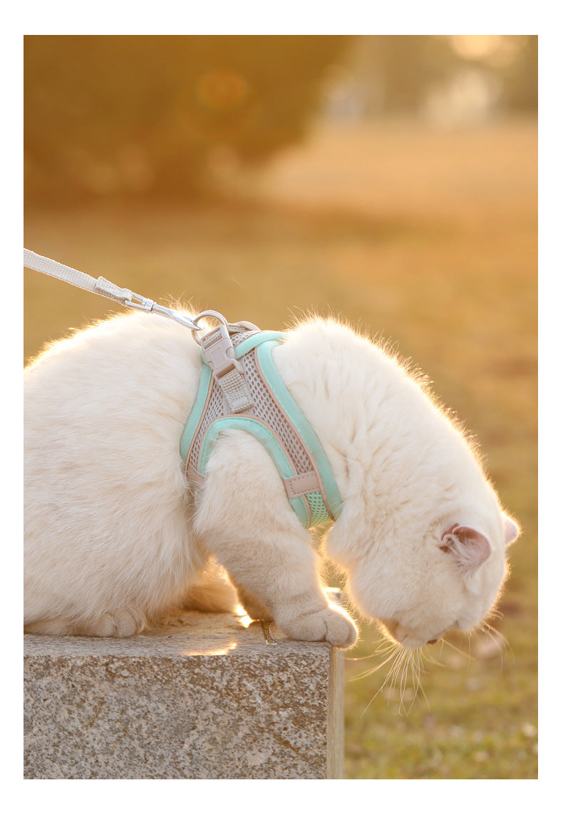 Cat Dog Harness