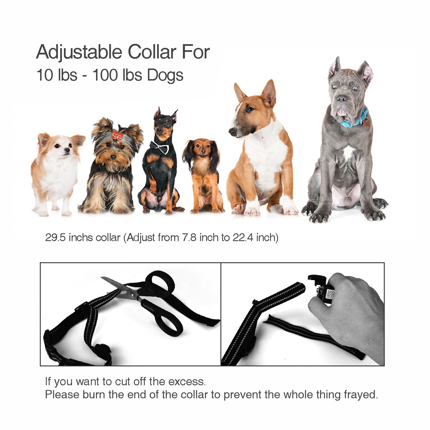 Hunter Beeper Collar Waterproof