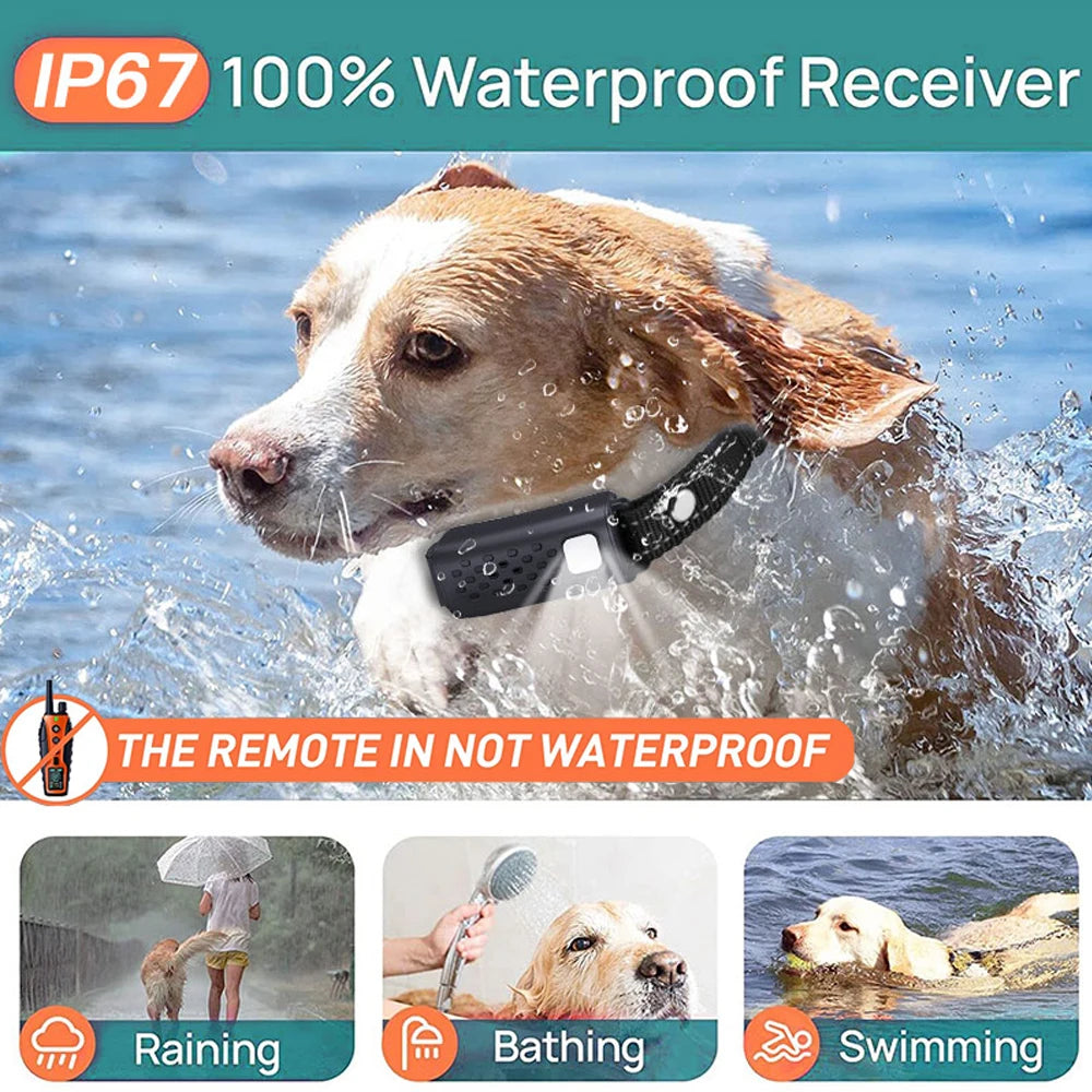 Electric Dog Training Collar Remote