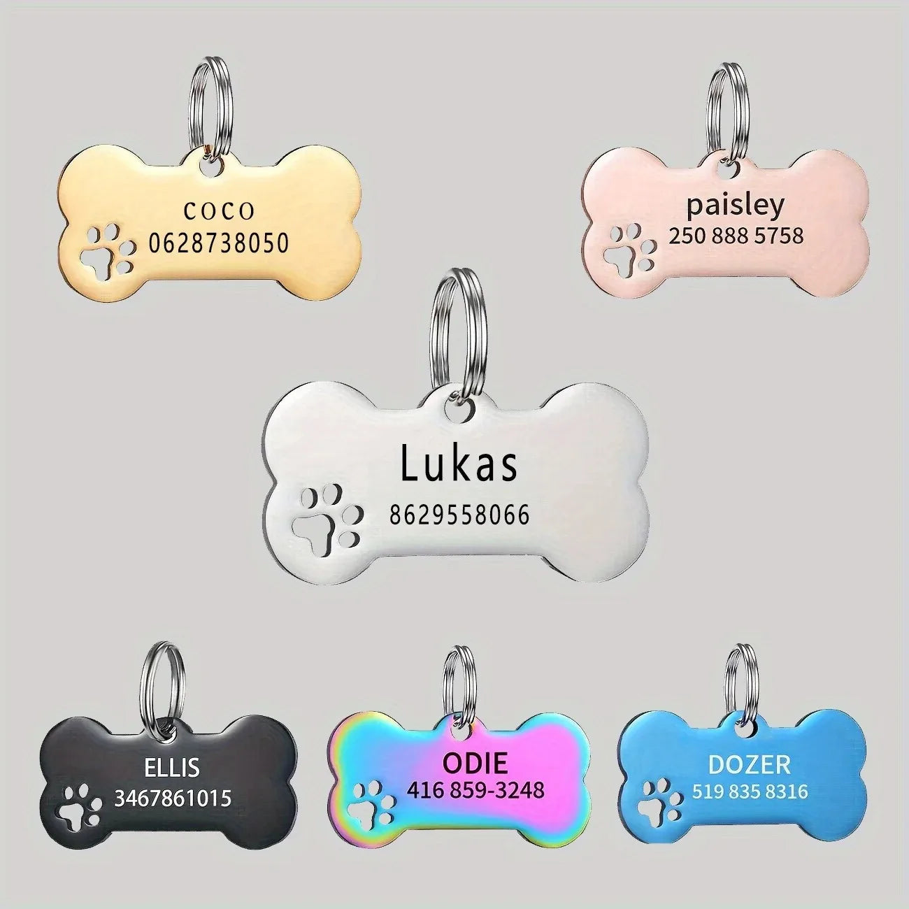 Pet tag