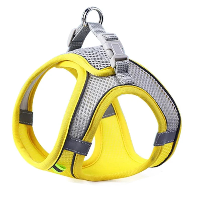 Cat Dog Harness