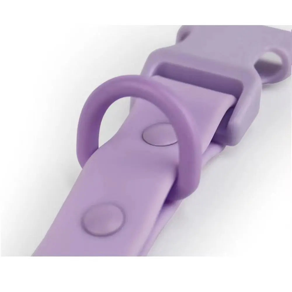 Multicolor dog leashes