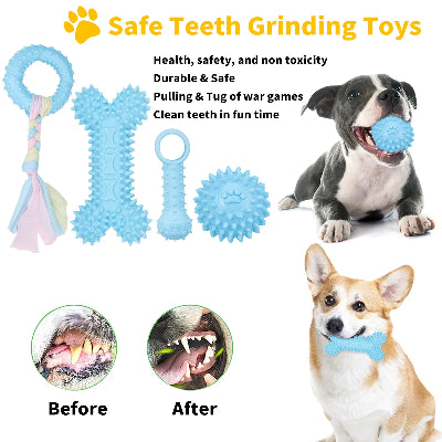 5-pack pet toys