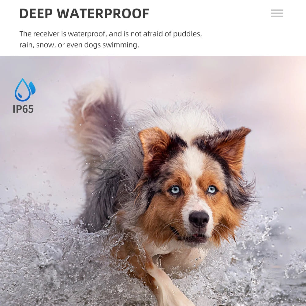 Training Hunting Collar