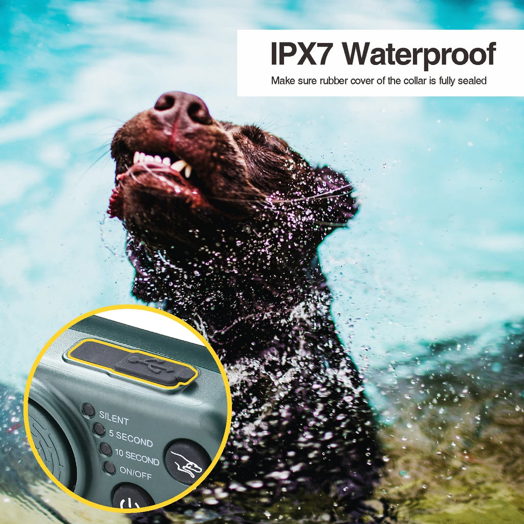 Hunter Beeper Collar Waterproof