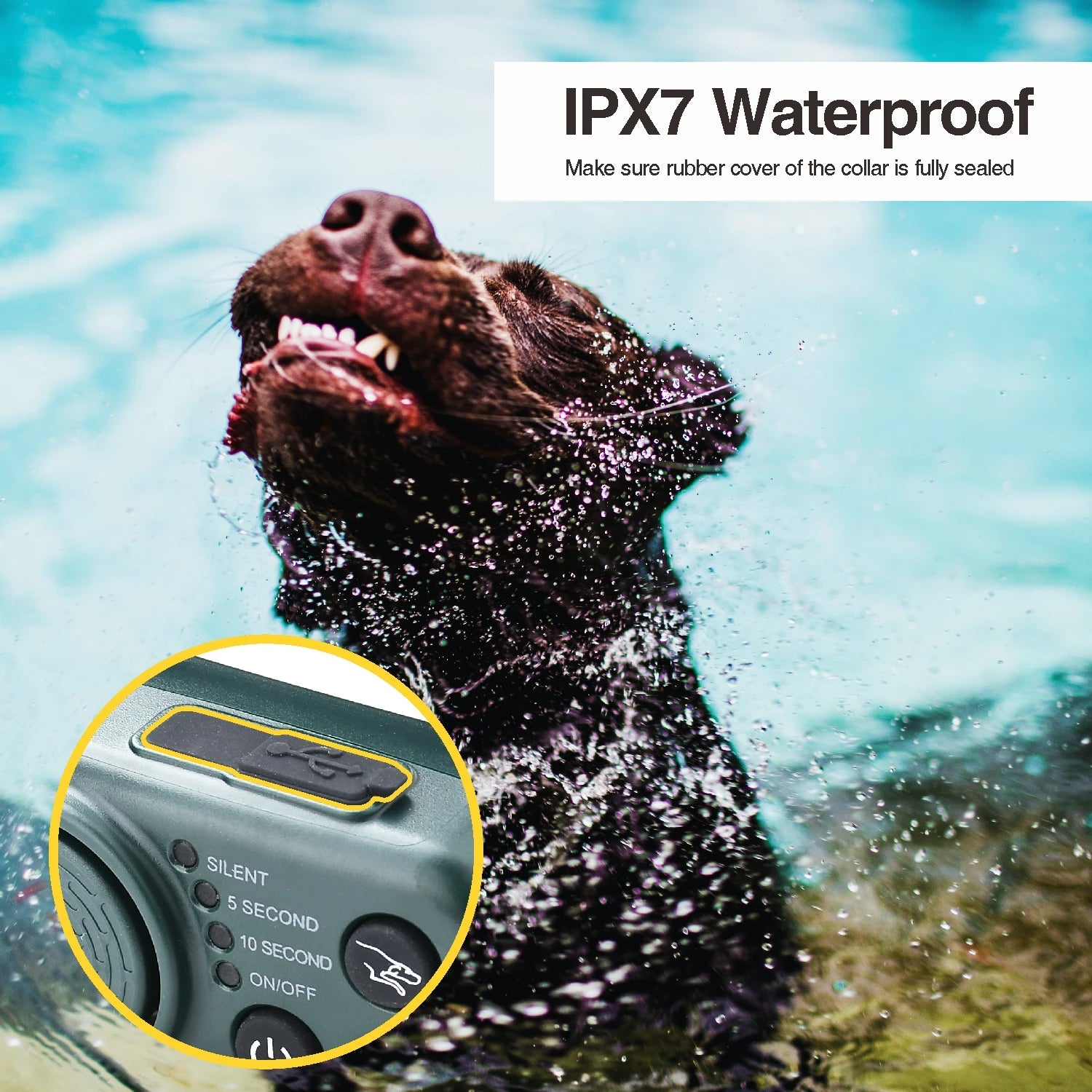 Hunter Beeper Collar Waterproof