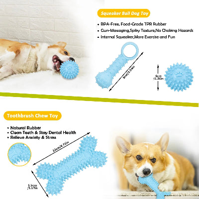 5-pack pet toys