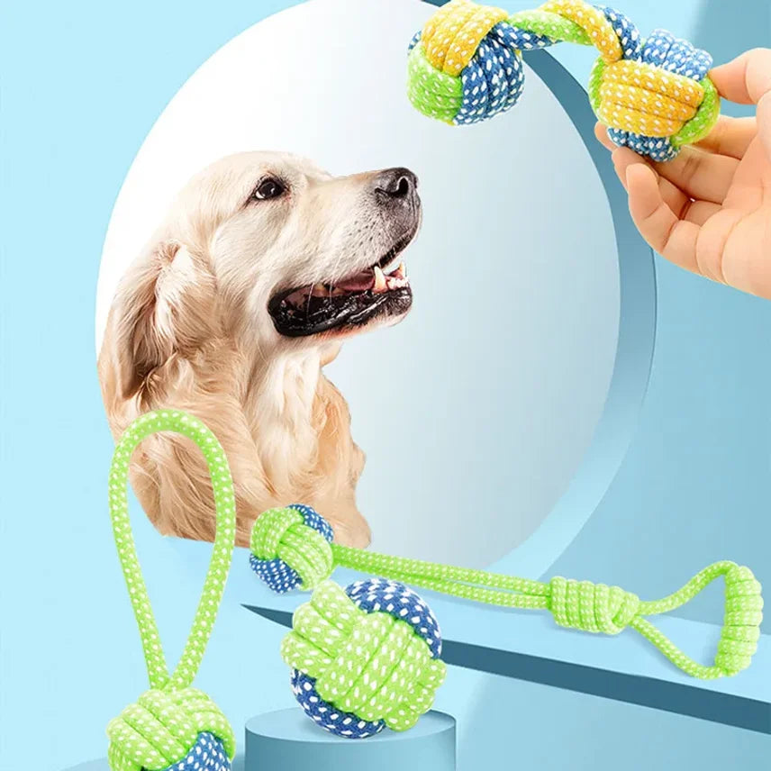 Pet dog Classic Toy