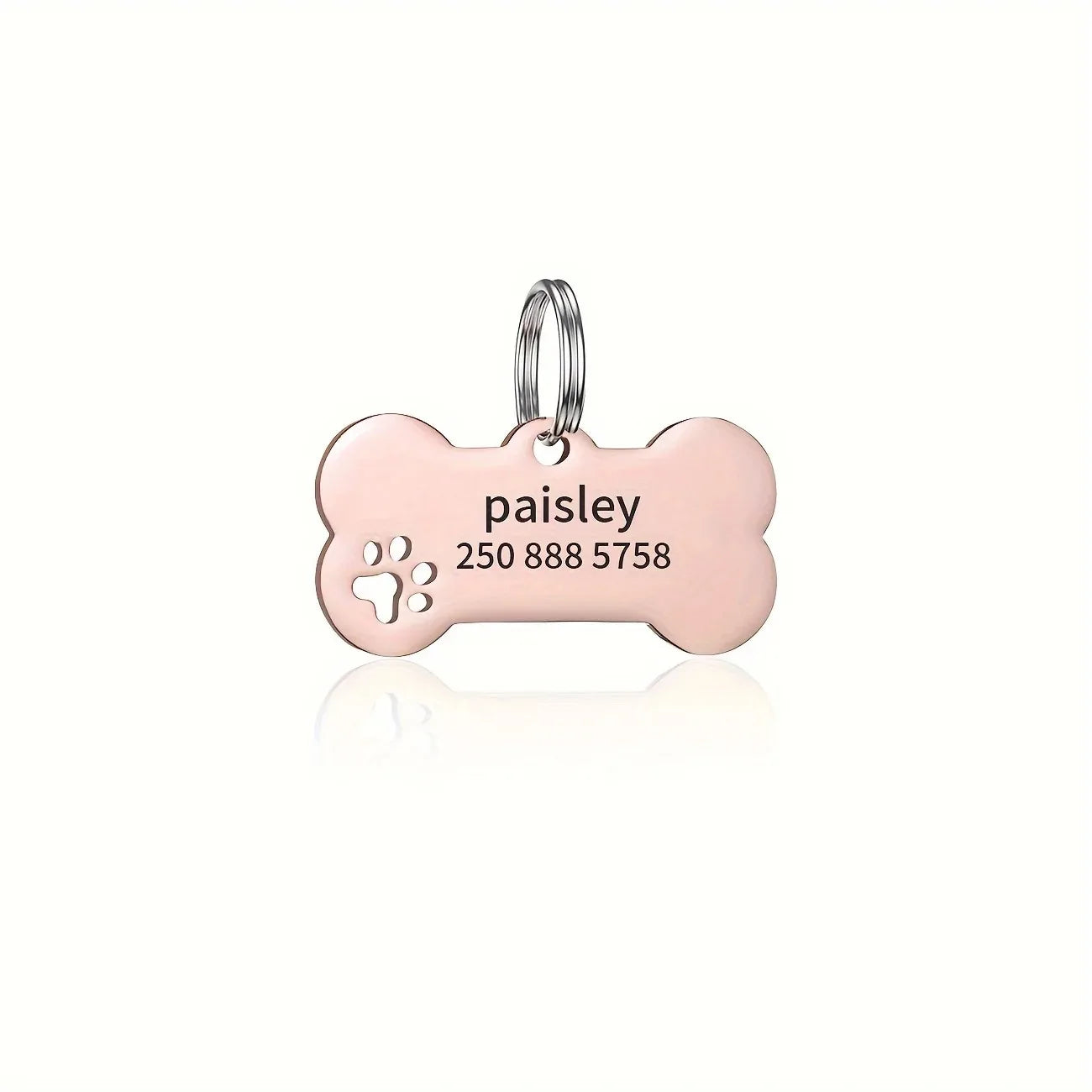 Pet tag