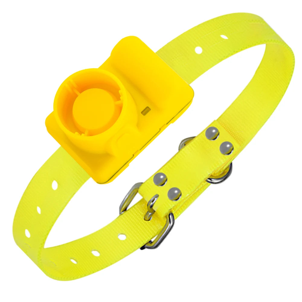 Training Hunting Collar