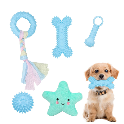 5-pack pet toys