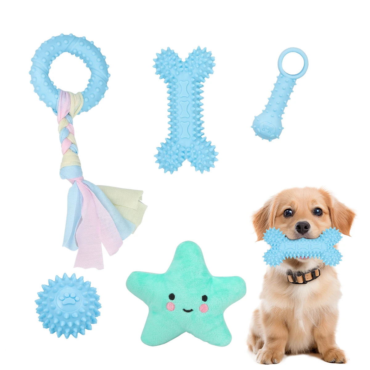5-pack pet toys