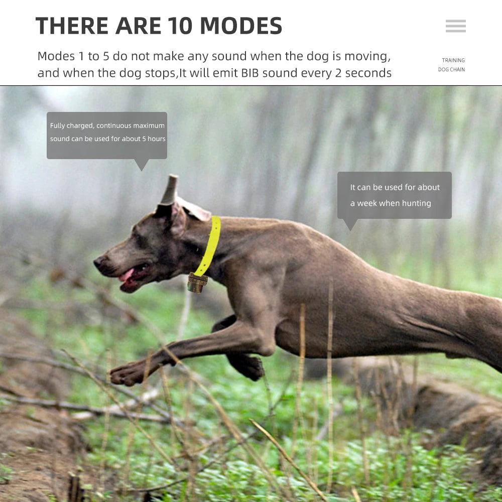 Training Hunting Collar