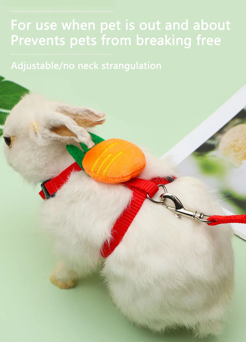 Rabbit Cat Harness and Leash