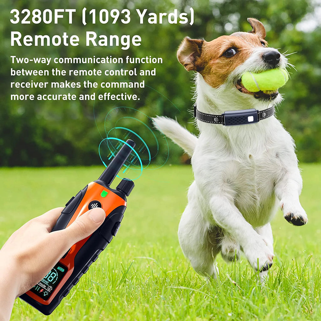 Electric Dog Training Collar Remote