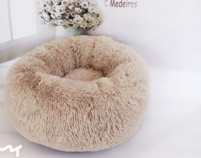 Cats and dogs Beds