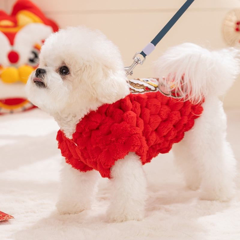 Dog Autumn And Winter