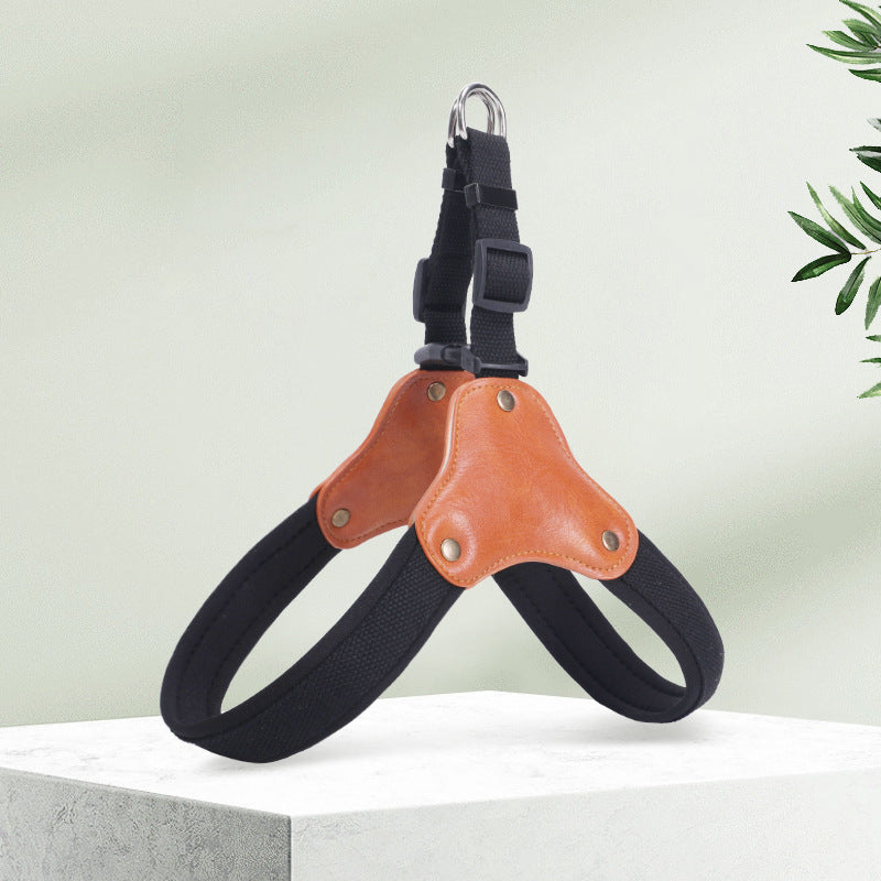 Portable household use Dog Leash