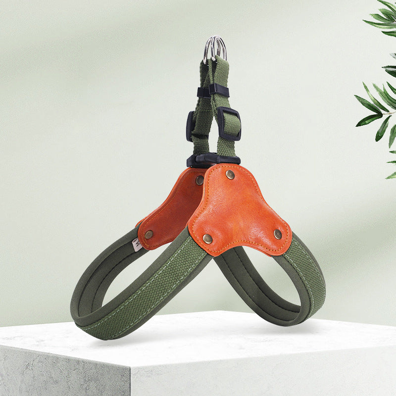 Portable household use Dog Leash