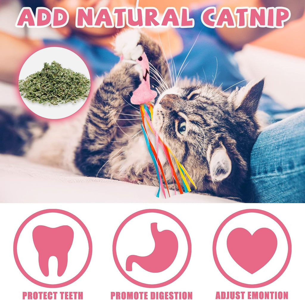 Cat Wand Toys Interactive