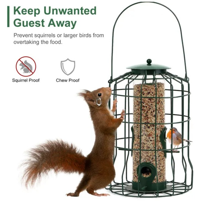 Outdoor Wild Bird Feeder Squirrel