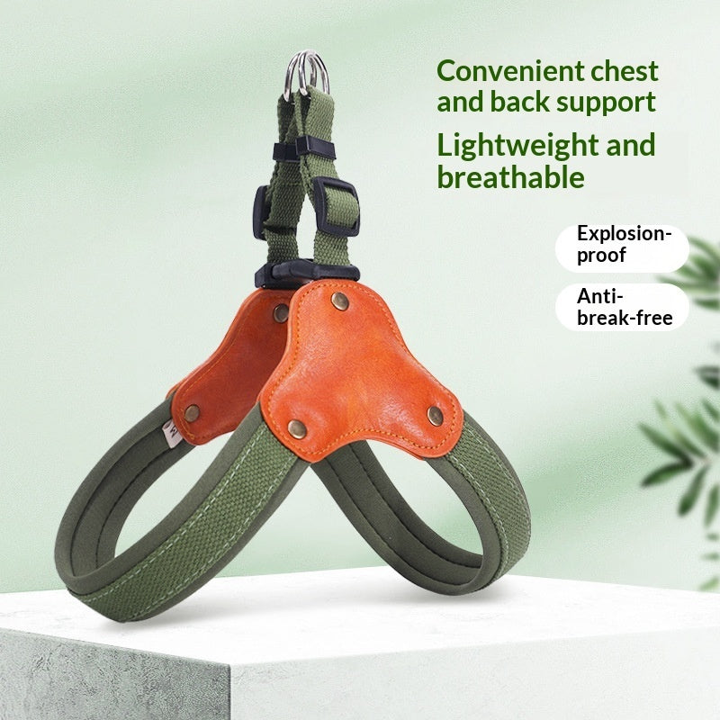 Portable household use Dog Leash