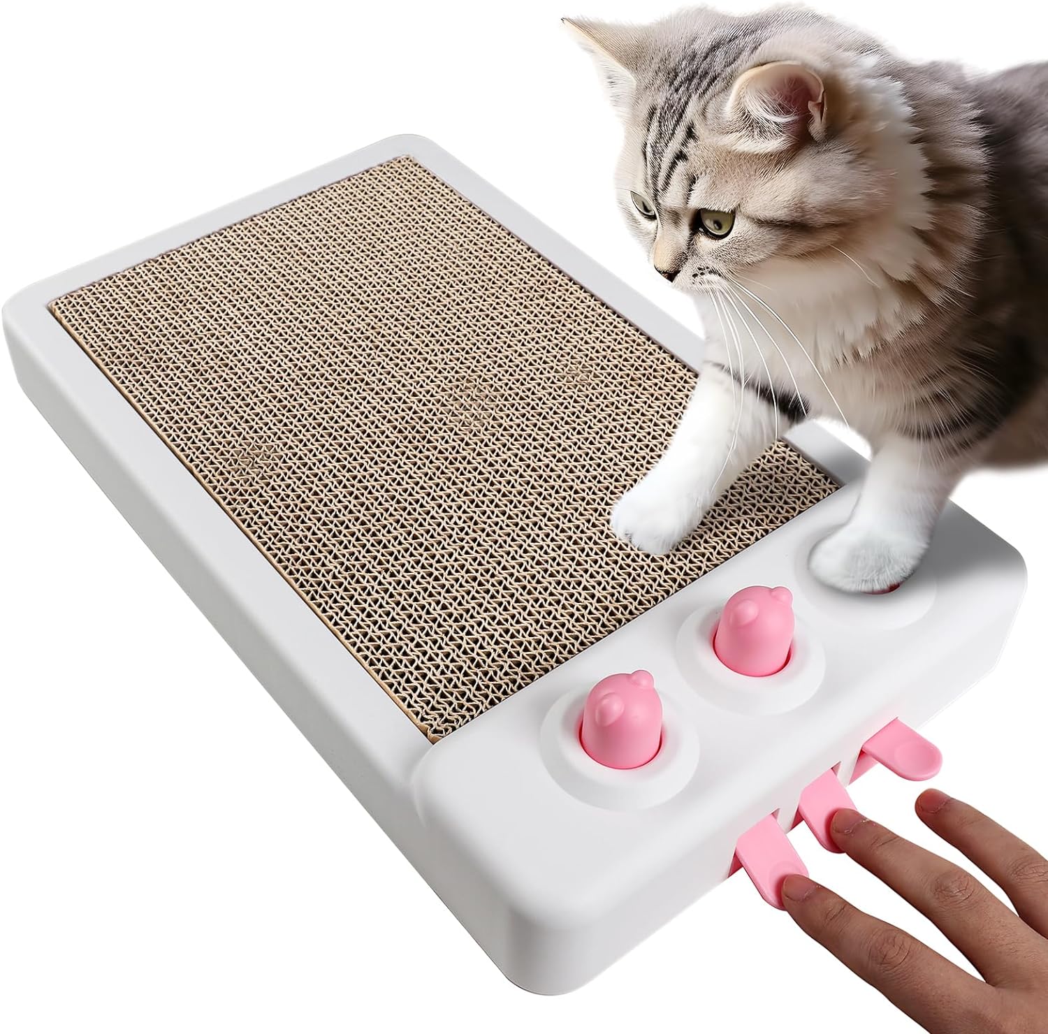 Cat Scratcher Toy Interactive