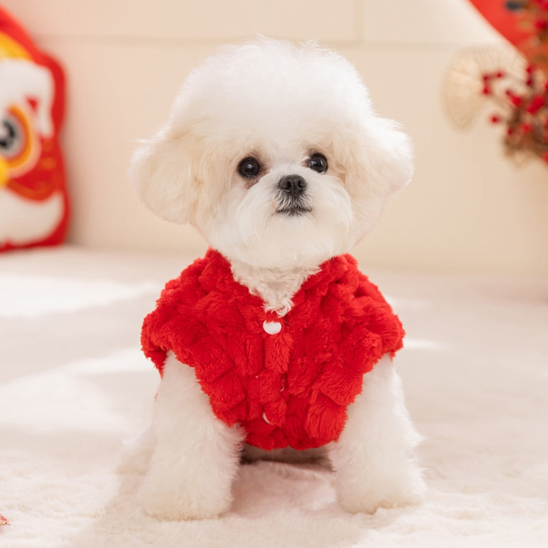 Dog Autumn And Winter